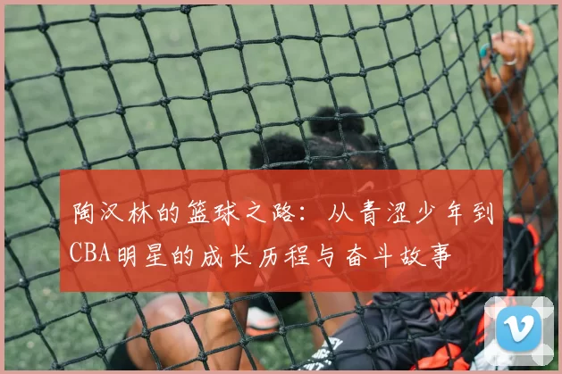 陶汉林的篮球之路：从青涩少年到CBA明星的成长历程与奋斗故事