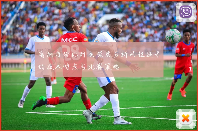 高纳与哈比对决深度分析两位选手的技术特点与比赛策略