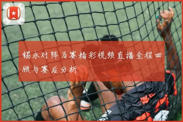 锡永对阵马赛精彩视频直播全程回顾与赛后分析