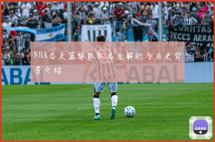 NBA各支篮球队队名全解析与历史背景介绍